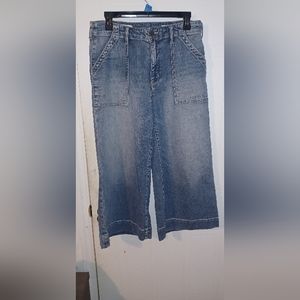 Pilcro and the letter press cropped denim pants